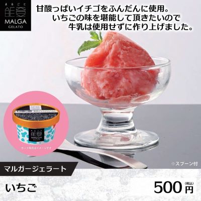 各種マルガージェラート〈スプーン付〉 ★推奨容器別途必須★ ※配送不可地域あり