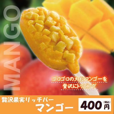 DA6101 リッチ果実バー マンゴー・ピーチ2種セット　※容器別途必要
