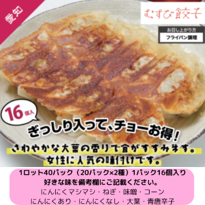 むすび餃子1パック16個★好きな味をご要望欄に記載ください★・仕入れ 卸 業務用 小売店 ど冷えもん