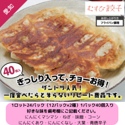 むすび餃子1パック40個★好きな味をご要望欄に記載ください★・仕入れ 卸 業務用 小売店 ど冷えもん